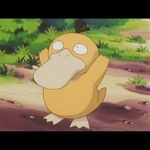 Meet your Posher, Brad